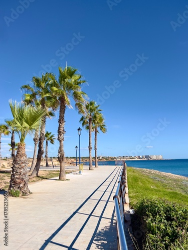 Sunny coastal Playa Flamenca, Spain, promenade lined with palm trees beside a calm blue sea, offering a peaceful walkway with clear skies and ocean views