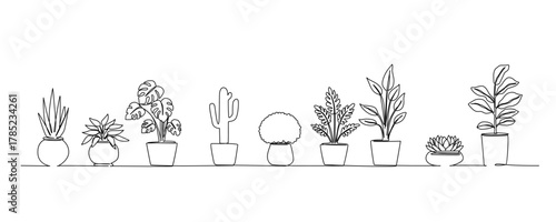 a variety of potted plants lined up neatly each with unique shapes and sizes creating an appealing garden scene