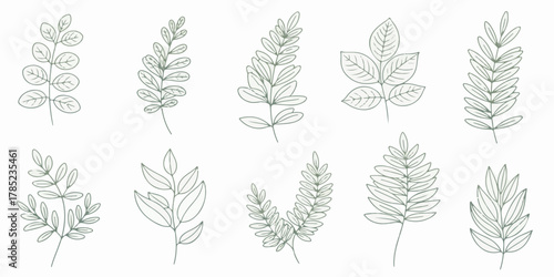 Elegant Plant Outline Illustration with Minimal Design and Soft Colors