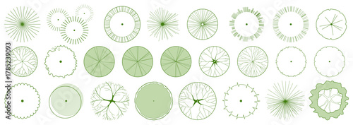 CAD project trees in top view, editable vector on white background, landscape design and architectural project, elements for environment and garden.