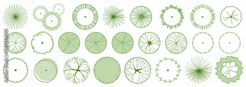 Fototapeta CAD project trees in top view, editable vector on white background, landscape design and architectural project, elements for environment and garden.
