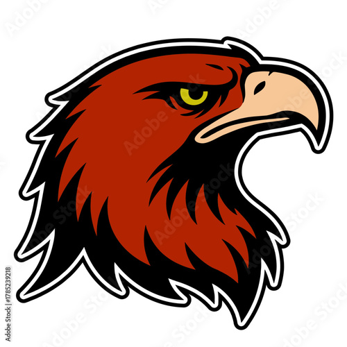 Eagle head illustration predator bird of prey animal vector graphic design