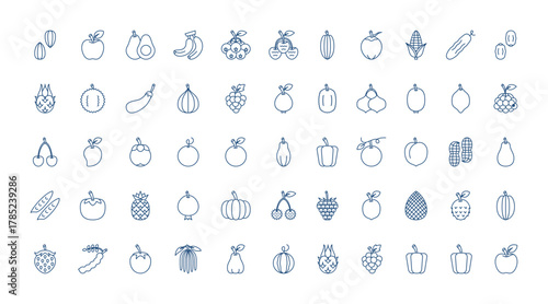 Fruits icon set. Vector icons. Line icons