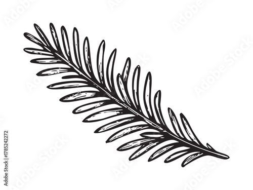 Black hatching drawing of a christmas and new year pine branch isolated on white background. concept of festive holiday decor, seasonal celebration, natural element, winter design.