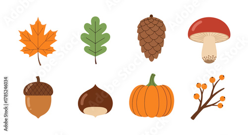 Autumnal elements collection leaves pinecone acorn chestnut and pumpkin