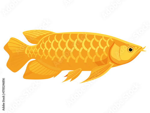Simple flat illustration design of an arowana fish with beautiful and aesthetic fins.