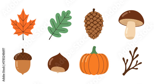 Autumnal elements collection leaves pinecone mushroom acorn chestnut