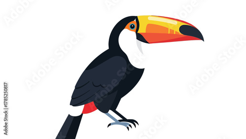 A colorful toucan with a large vibrant beak on a white background