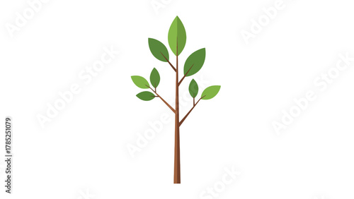 A flat illustration of a sapling with brown branches and green leaves