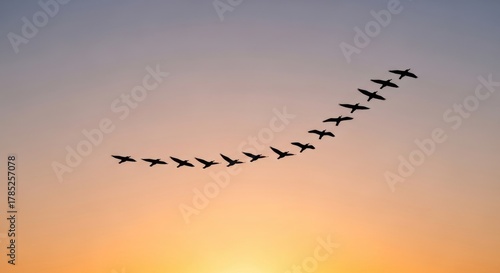 Majestic flight, A serene silhouette of migrating birds against a sunset sky