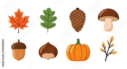 Autumnal elements leaves pinecone mushroom and more isolated on white