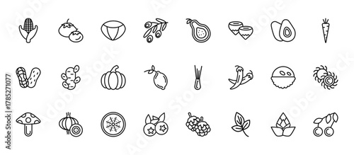 24 set of outline web fruits icons such as tomato, guava, ginger, lychee, blueberry vector thin icons for report, presentation, diagram, web design, mobile app