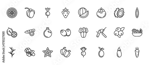 24 set of outline web fruits icons such as paprika, watermelon, cucumber, blueberries, bell pepper vector thin icons for report, presentation, diagram, web design, mobile app