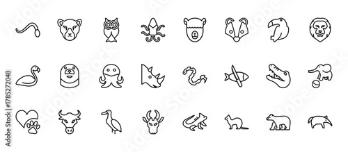 24 set of outline web animals icons such as puma, alpaca, otter, alligator, antelope vector thin icons for report, presentation, diagram, web design, mobile app