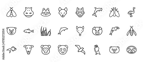 24 set of outline web animals icons such as hippopotamus, wolf, salmon, grampus, panda bear vector thin icons for report, presentation, diagram, web design, mobile app