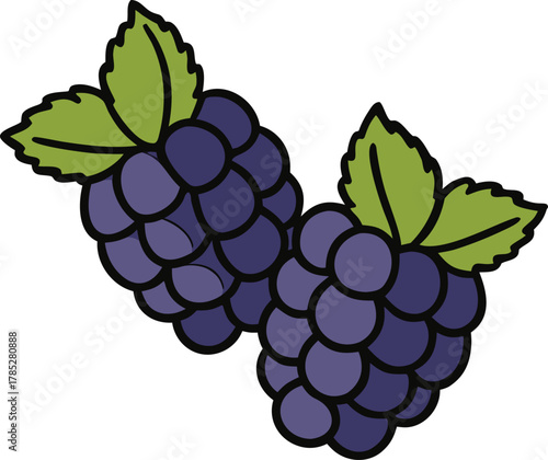 Illustration of two purple-blackberries with green leaves on a white background. The berries are plump, arranged closely, evoking a fresh, vibrant feel.
