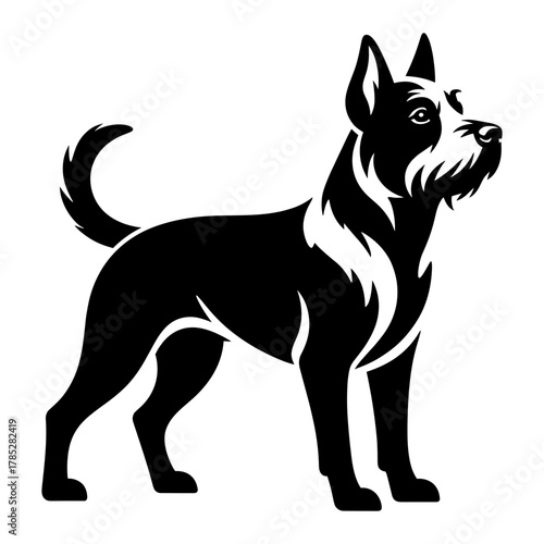 Belgian Laekenois Dog