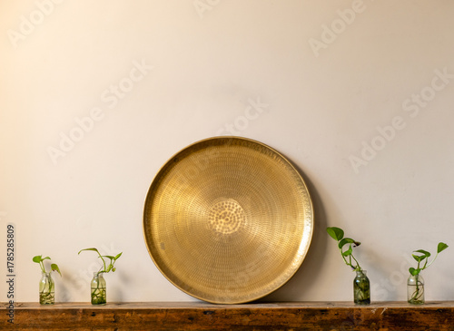 Golden brass tray and plants on wooden shelf