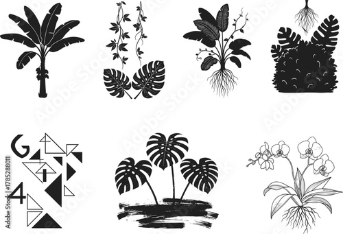 Tropical plants, banana tree, monstera leaves, orchid flowers, jungle foliage, vines, exotic greenery, geometric shapes, nature silhouette, botanical art, tropical illustration vector design