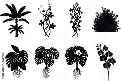 Tropical plants, banana tree, monstera leaves, orchid flowers, vines, jungle foliage, exotic greenery, rainforest vegetation, botanical nature, tropical flora, garden silhouette vector illustration