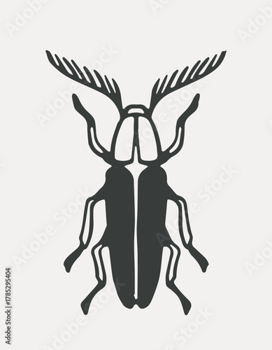 Minimalist black beetle with antler-like antennae shown in a symmetrical flat graphic style on a light background. Concept of nature, insects, entomology. Vector illustration