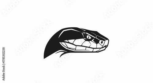 vector illustration of a snake