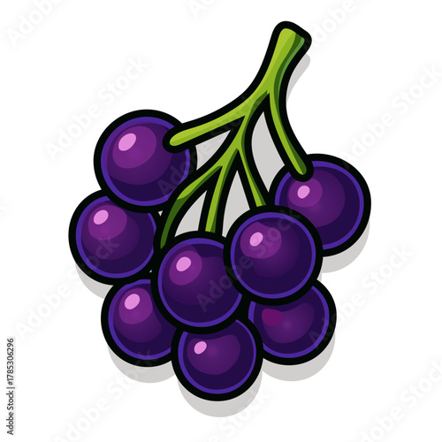 Cartoon Elderberry Icon, Purple Fruit Vector Illustration