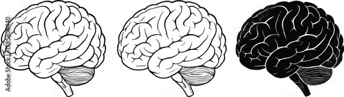 Human brain illustrations, three representations, outlined anatomy, silhouette contrast, cerebral cortex detail, cerebellum visible, black filled shape, neuroscience concept art