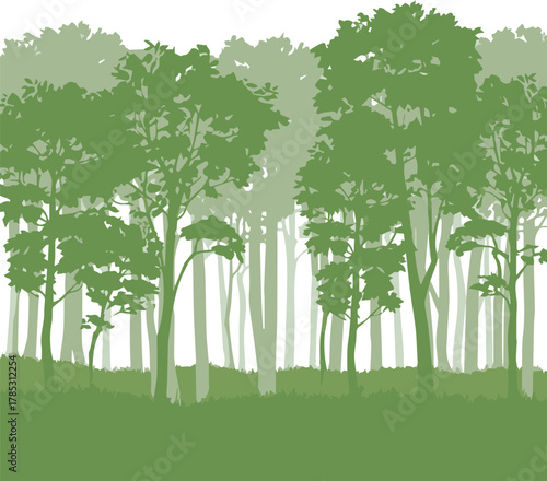forest layered trees silhouette gradient green misty forest floor tall grass illustration