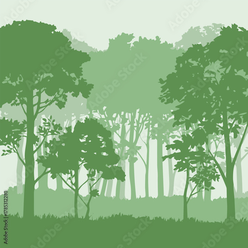 forest scenic layered tree silhouettes gradient depth mist canopy undergrowth vector