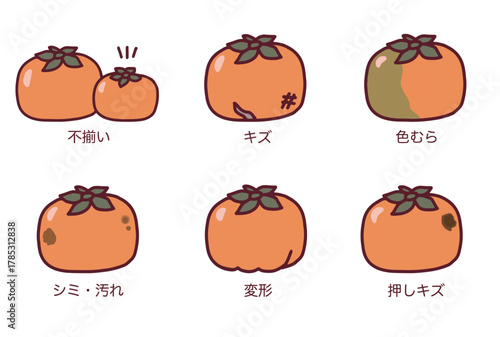 規格外の柿のイラストと説明