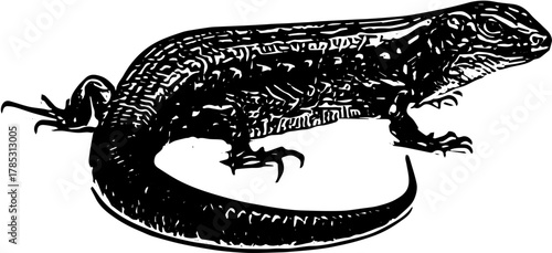 silhouette of a lizard svg