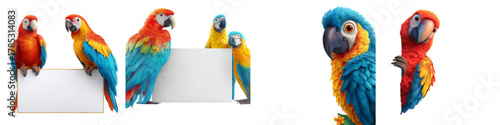 Vibrant parrots displaying a blank sign, perfect for playful announcements and colorful messages, a tropical touch for your creative projects with these scarlet macaws
