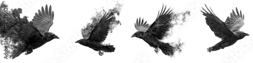 Dynamic flight sequence of a raven dissolving into smoke, a striking visual metaphor for transformation, mystery, and gothic themes, perfect for book covers and artistic projects