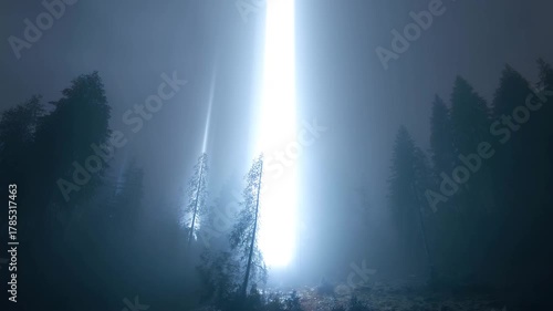 深い森の中で輝く不思議な光の柱