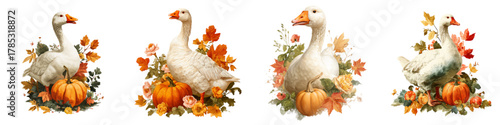 Charming autumn goose collection with pumpkins and fall leaves, celebrating Thanksgiving spirit, perfect for seasonal greetings and harvest festival designs, originally a vector graphic