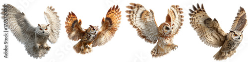 Majestic owls soaring in graceful flight, a vibrant collection showcasing nature's beauty, perfect for educational resources, wildlife projects, and conservation campaigns