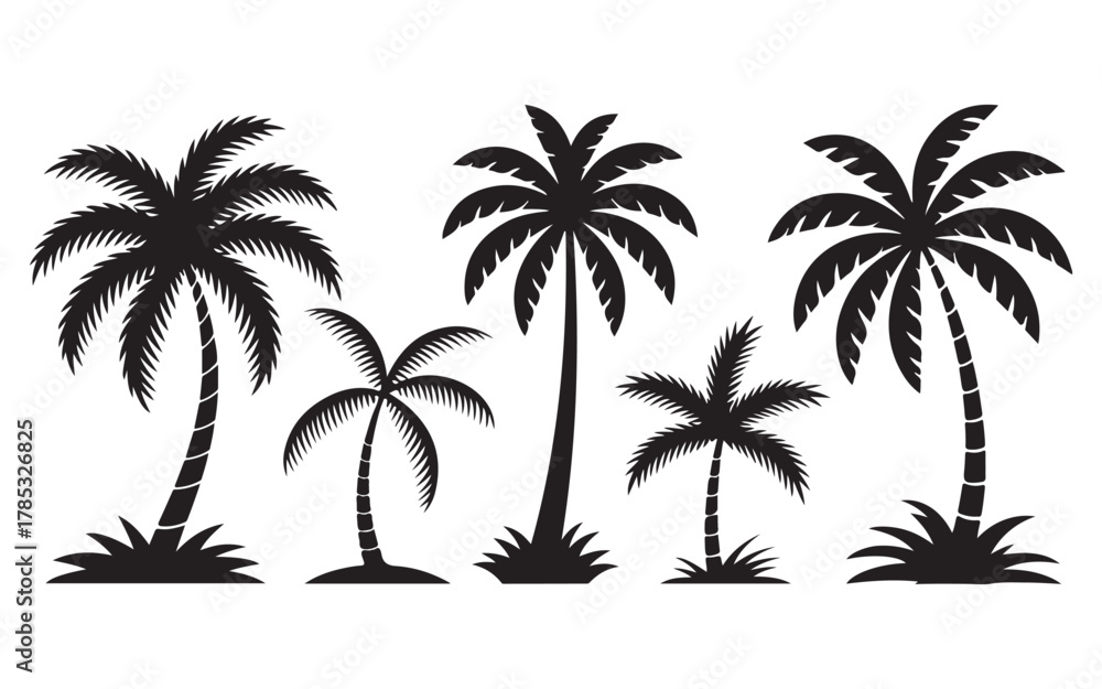 Obraz premium Silhouette of various palm trees