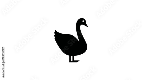 Black swan silhouette vector icon. Elegant minimalist waterfowl bird symbol isolated on white background for design.