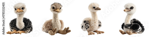 Adorable ostrich chick plush toys in a row, perfect for children's gifts, educational materials, and wildlife conservation campaigns, appealing to animal lovers