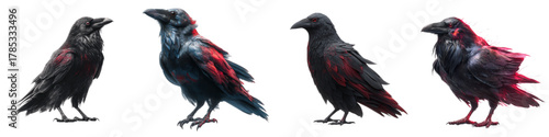 Mystical ravens with glowing red accents, perfect for fantasy illustrations, gothic designs, and Halloween-themed projects, adding a touch of dark magic and intrigue