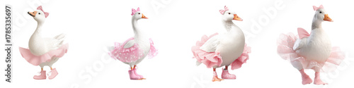 Adorable geese wearing pink tutus and bows, perfect for children's illustrations or whimsical designs, conveys innocence and playful charm, ready for creative projects
