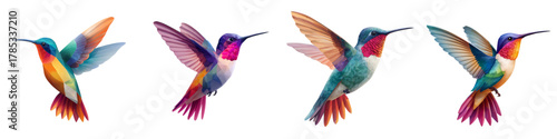 Vibrant Hummingbird Collection: Four Beautiful Flying Jewels, Perfect for Nature Designs, Spring Themes, and Elegant Branding Projects, Originally Created as Vector Art