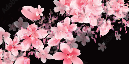 桜　春　風景　背景　