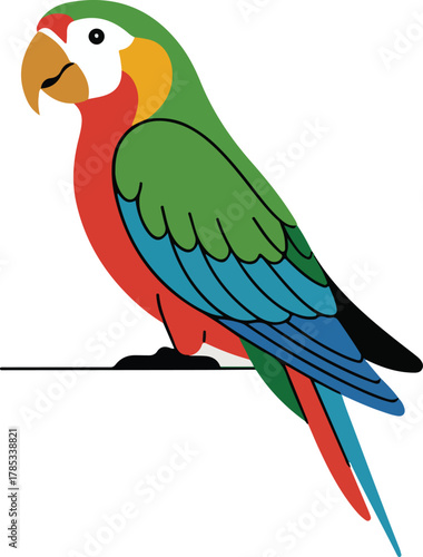 Colorful parrot vector looking down with vibrant plumage isolated on transparent background