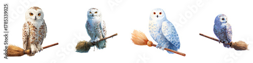 Whimsical snowy owls on broomsticks, magical flight for children's stories, enchanting fantasy art perfect for book illustrations and imaginative designs, vector origin