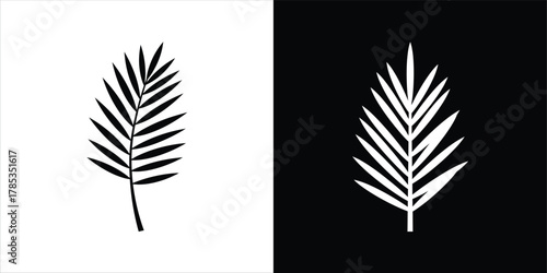 Minimalist tropical palm leaf icon set in black and white vector illustration for summer design