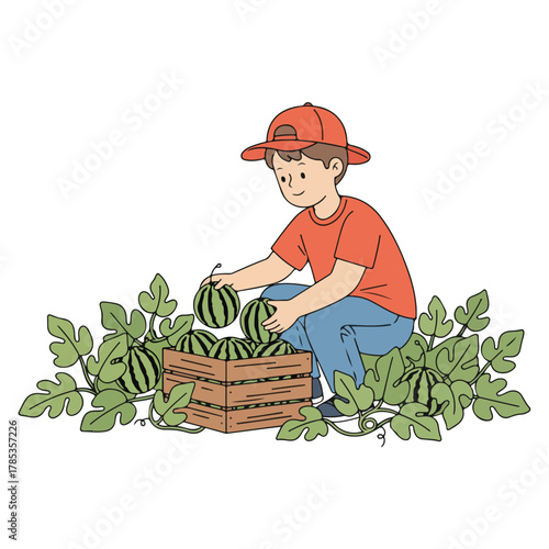 Boy collecting vegetables in a basket from farm