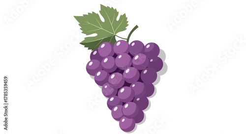 A detailed illustration of a bunch of ripe purple grapes with a single green leaf on a white background.