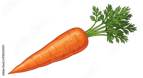 A single, vibrant orange carrot with green leafy tops, isolated on a white background.